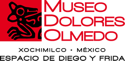Logo Museo Dolores Olmedo