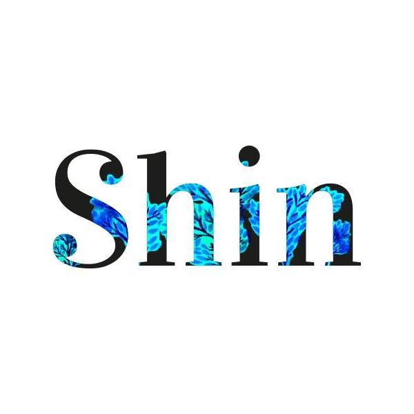 compagnie shin - Arty Company